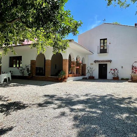 Villa Tana Pacenzia Cefalù Dış mekan fotoğraf
