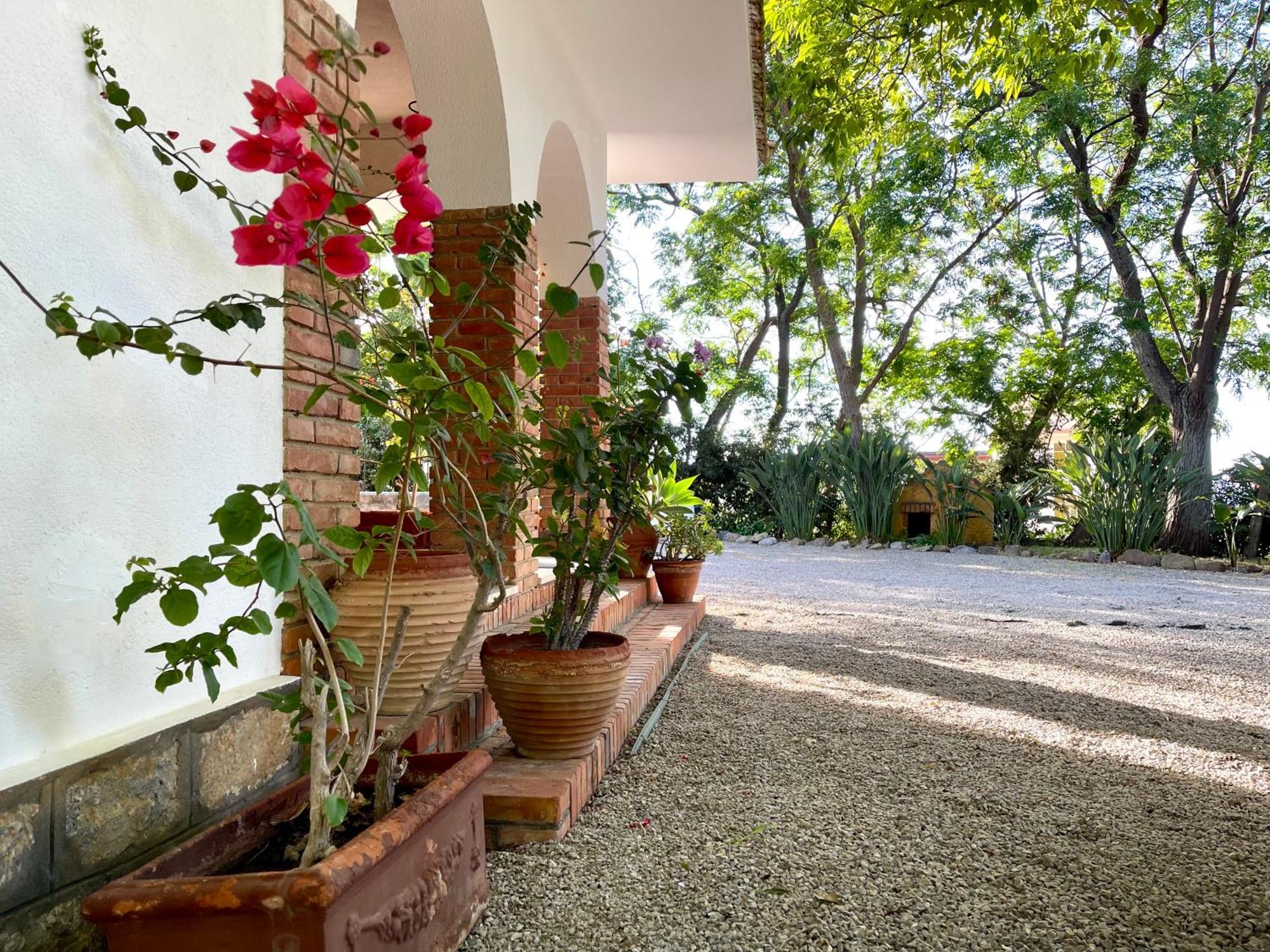 Villa Tana Pacenzia Cefalù Dış mekan fotoğraf
