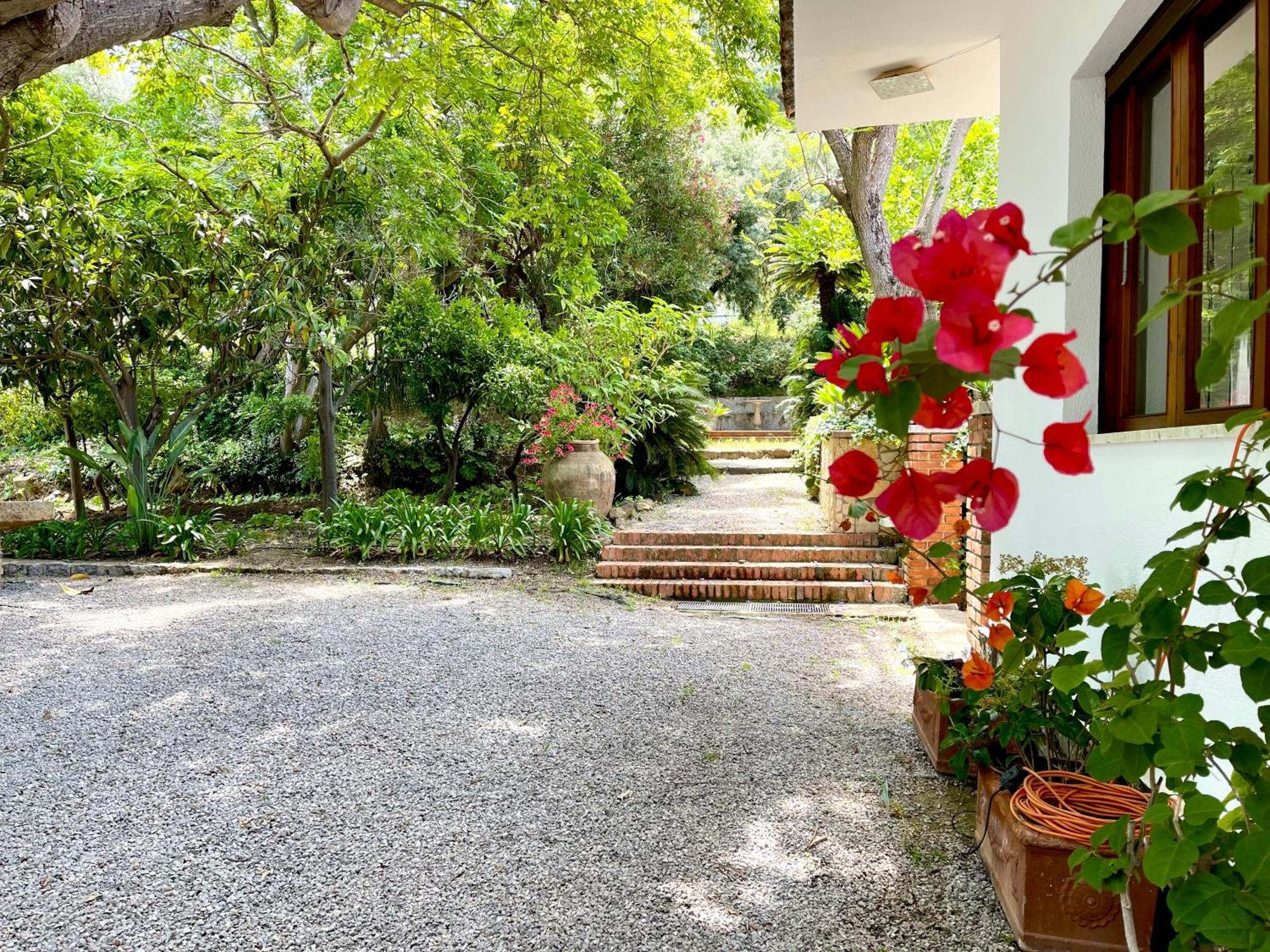 Villa Tana Pacenzia Cefalù Dış mekan fotoğraf
